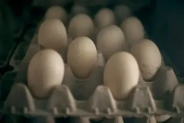 Чому дорожчають яйця: експерт зробив песимістичний прогноз про ціни
