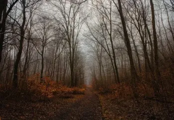 Де потеплішає до +18: прогноз погоди на тиждень, 3-9 листопада