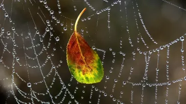 Украину накроют дожди