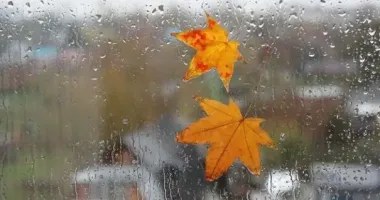 Погода в Украине резко изменится