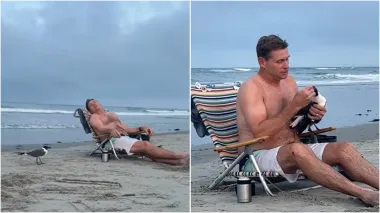 Мужчина притворился спящим и смог голыми руками поймать чайку: дальше произошло неожиданное (видео)