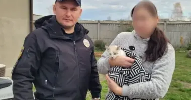 Дитина розмалювала фломастерами кота: його забрали з родини, а батькові дівчинки загрожує штраф, — поліція Львівщини