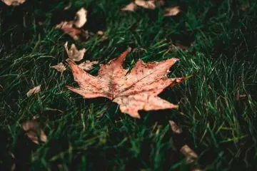 День ангела 4 ноября: кого и как поздравлять с именинами