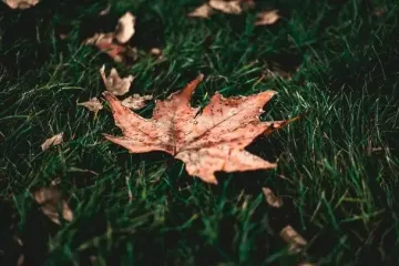 День ангела 4 листопада: кого та як вітати з іменинами