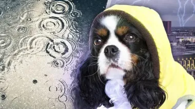 Украину накроют дожди: где ожидать осадки 4 ноября и какой будет температура (карта)