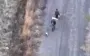 Ruscists killed two civilians and dog walking under white flag in Kharkiv region with drone. VIDEO