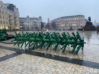 Главная елка Украины: в КГГА рассказали, когда и где она появится