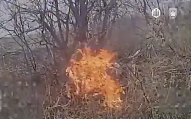 Hiding in bushes failed: Madyar’s Birds drones incinerated occupier. VIDEO