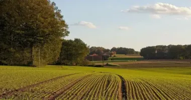 800 тис. грн за чужу землю: киянину світить до 8 років ув'язнення