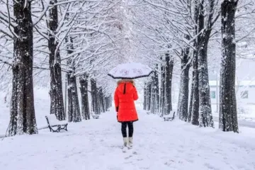 Новогодняя ночь удивит: украинцам рассказал о резком изменении погоды и морозном финале, прогноз на зиму