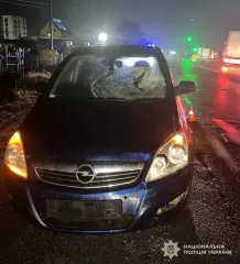 Женщину дважды сбили на дороге во Львовской области: подробности от полиции