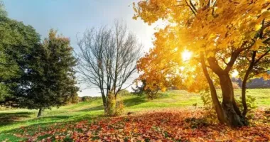 Завтра в Украине без осадков и до +16