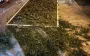 Cannabis worth 2 million hryvnias seized: law enforcement officers detained a drug dealer in Dnipropetrovsk region. PHOTOS