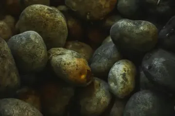 Кладем одну простую вещь в мешок с картофелем — и он спокойно лежит в квартире до лета без гнили и прорастания