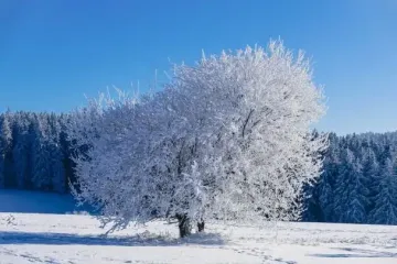 Тест: обраний вами пейзаж покаже, реаліст ви чи ідеаліст — відкрийте свою справжню природу