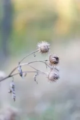 День ангела 6 ноября: кого и как поздравлять с именинами