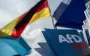 Немецкую партию AfD подозревают в шпионаже в пользу РФ - СМИ