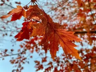 Погода на 6 ноября: синоптики обновили прогноз