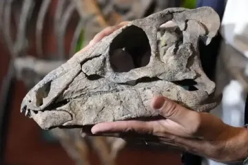 Яке на смак м’ясо динозавра: вчений дав неочікувану відповідь