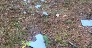 Лесная прогулка закончилась трагедией: в Черниговской области двое детей взорвались на вражеской дроне