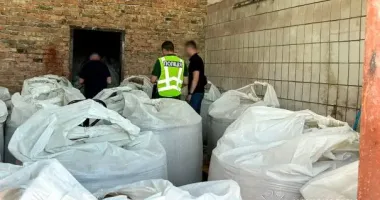 На Рівненщині шахраї продавали фарбовану крейду як добриво і заробили 1,26 млн грн: що їм загрожує