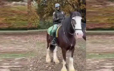 New York police officer surprises Ukrainian woman: recites "Cherry Orchard Near House" on horseback. VIDEO