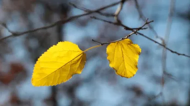 Синоптики обещают сухую и теплую погоду в Украине в конце недели
