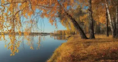 Завтра в Украине без осадков и до +16