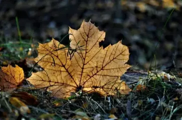 День ангела 7 ноября: кого и как поздравлять с именинами