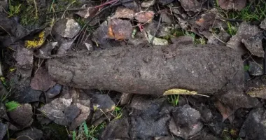 В Винницкой области саперы уничтожили авиационную бомбу