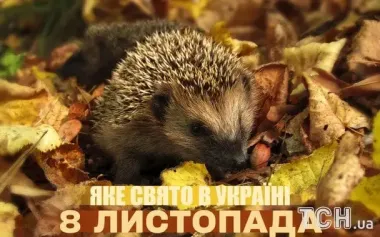 Яке завтра, 8 листопада, свято — все про цей день, яке церковне свято, що не можна робити