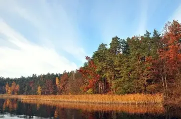 Будет ли еще в ноябре "бабье лето" - прогноз синоптика