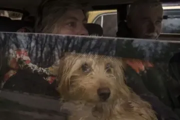 В Сумской области тысячи людей отказываются от эвакуации: что известно