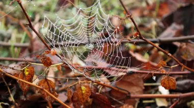 На выходных в ряде областей пройдут дожди