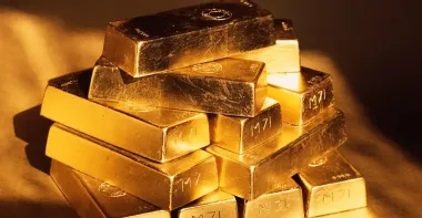 Золото разрешили оставить: мужчина копал бассейн и наткнулся на клад у себя в саду