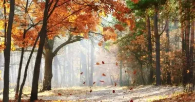 Вихідні в Україні очікуються туманними, хмарними, проте не холодними