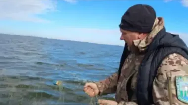 Мільйонні збитки за тиждень: Держекоінспекція виявила сміттєзвалище на 9 мільйонів на Одещині та масову вирубку лісу