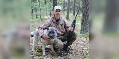 На Черниговщине разводят собак викингов: норвежские элькхунды возрождают древнюю охотничью традицию