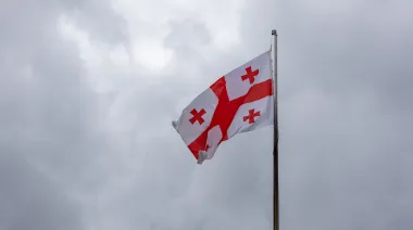 Семь оппозиционных партий в Грузии объединились для мирной "смены режима"