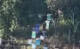 Occupier wandered into apiary, where FPV drones were already waiting for him. VIDEO