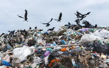 Reuters повідомив про жалюгідну ситуацію в секторі Гази: антисанітарія, сміття і стічні води