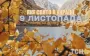 Какой завтра, 9 ноября, праздник — все об этом дне, какой церковный праздник, что нельзя делать