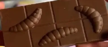 Дієтолог розповів, чи є ризики щодо популярного тренду в Україні - шоколадок з личинками