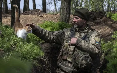 ВСУ отбили сегодня более 50 атак РФ на Покровском направлении, - Генштаб