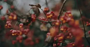 День ангела 9 ноября: кого и как поздравлять с именинами