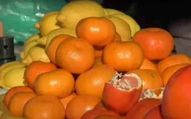 Містить величезну кількість вітаміну С: лікарі назвали найкорисніший цитрусовий фрукт