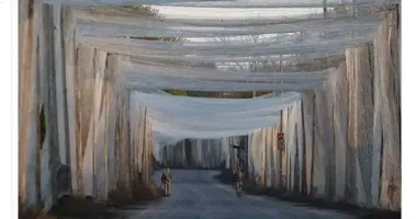 Франция передала Украине 280 км рыболовных сетей для защиты от дронов, – The Guardian