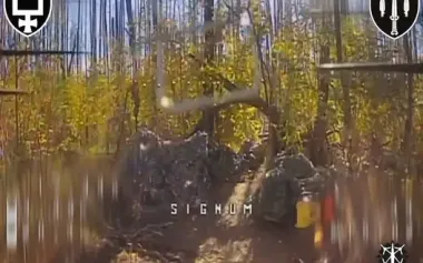 FPV drone strike: SIGNUM battalion burned Russian equipment caches in forest belt. VIDEO