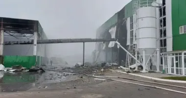 Три дрона атаковали украинскую ТЭЦ на биомассе: опубликованы кадры с места происшествия