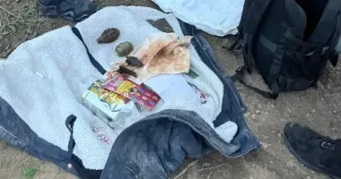 На Херсонщині чоловік кинув вибухівку в бік племінників: поранений 12-річний хлопець